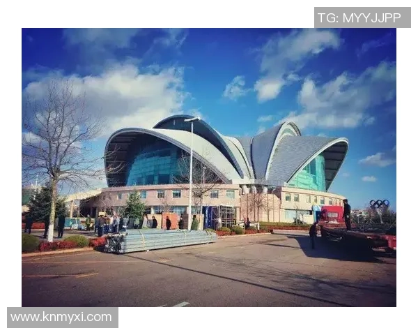 杭州足球队在联合会杯中的拼搏历程与荣耀时刻全景回顾