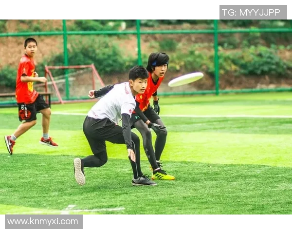 深圳飞盘队在极限运动会中的战术分析与表现评估