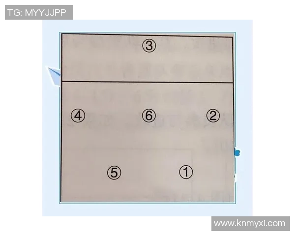 西安排球队战术解析与排球比赛策略深度探讨 西安排球队战术解析与排球比赛策略深度探讨